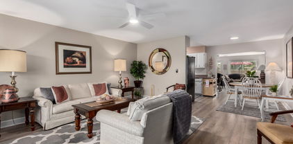 10132 W Audrey Drive, Sun City