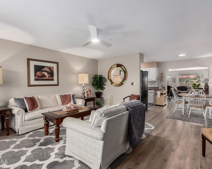 10132 W Audrey Drive, Sun City