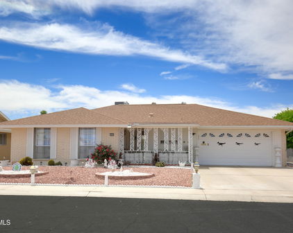 10321 W Floriade Drive, Sun City
