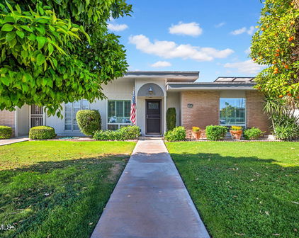 9907 W Hawthorn Drive, Sun City