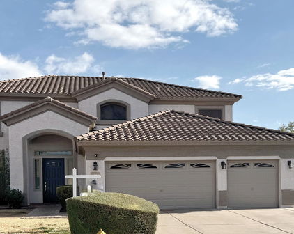 1571 E Appaloosa Court, Gilbert