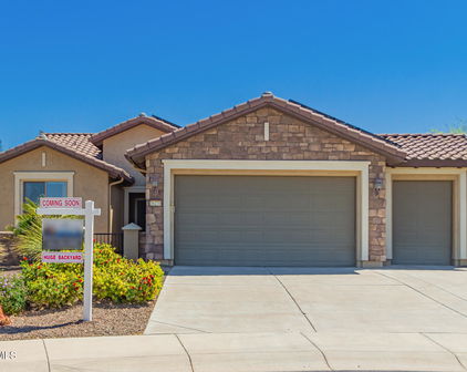 26270 W Horsham Court, Buckeye