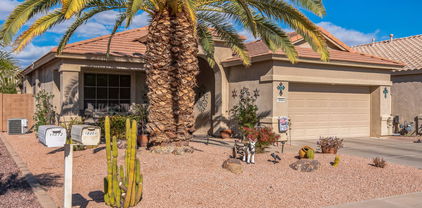 18064 W Buena Vista Drive, Surprise