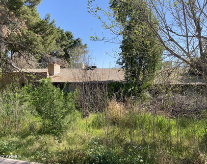 12705 E Via De Palmas --, Chandler