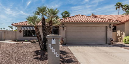 25238 S Boxwood Drive, Sun Lakes