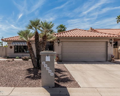 25238 S Boxwood Drive, Sun Lakes