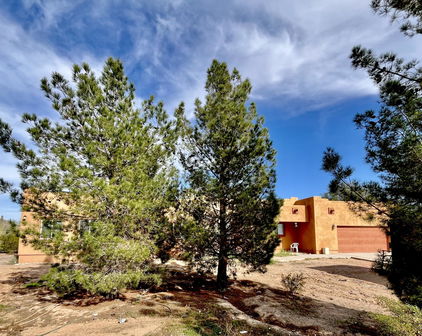 30917 N 163rd Drive, Surprise