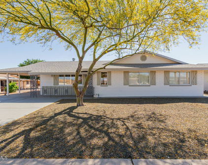 10509 W Snead Drive, Sun City